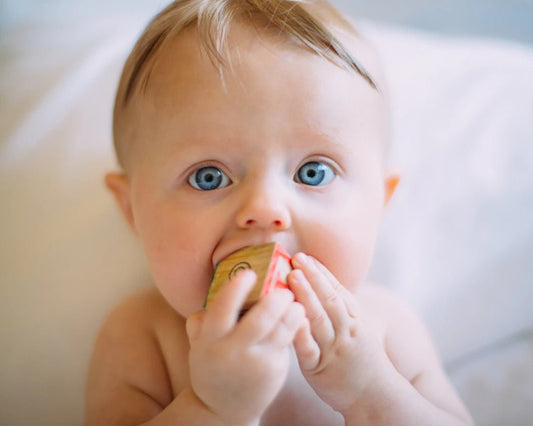 Understanding Baby Milestones: What to Watch For - BABYSE